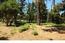 2813 Sloat Road - SOLD (Image 4)