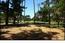2813 Sloat Road - SOLD (Image 5)