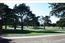 15 Fairway - SOLD (Image 13)