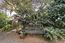 4021 El Bosque Drive - SOLD (Image 43)