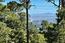 40 Shepherd's Knoll - SOLD (Image 2)