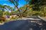 1123 Alta Mesa Road - SOLD (Image 3)
