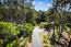 1268 Viscaino Road - SOLD (Image 37)