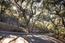 12724 Sundance Lane (Image 5)
