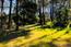 2901 Bird Rock Road - SOLD (Image 1)