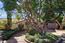 2970 Franciscan Way - SOLD (Image 1)