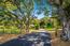 1123 Alta Mesa Road - SOLD (Image 1)