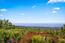 4013 Los Altos Drive - SOLD (Image 1)