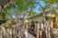 3 SW Monte Verde & 13th - SOLD (Image 1)