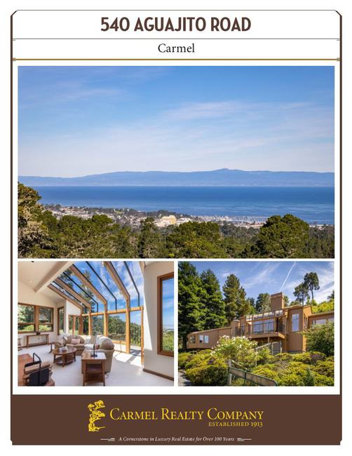 Property Flyer