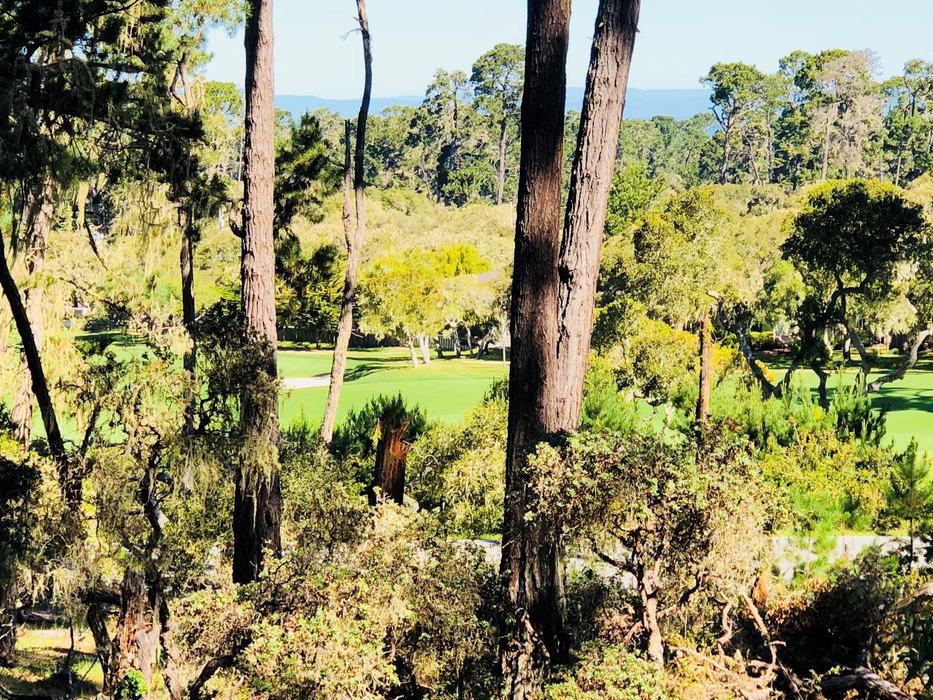 2901 Bird Rock Road - SOLD, Pebble Beach