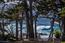 3225 17 Mile Drive - SOLD (Image 5)