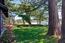 26387 Isabella Ave - SOLD (Image 10)