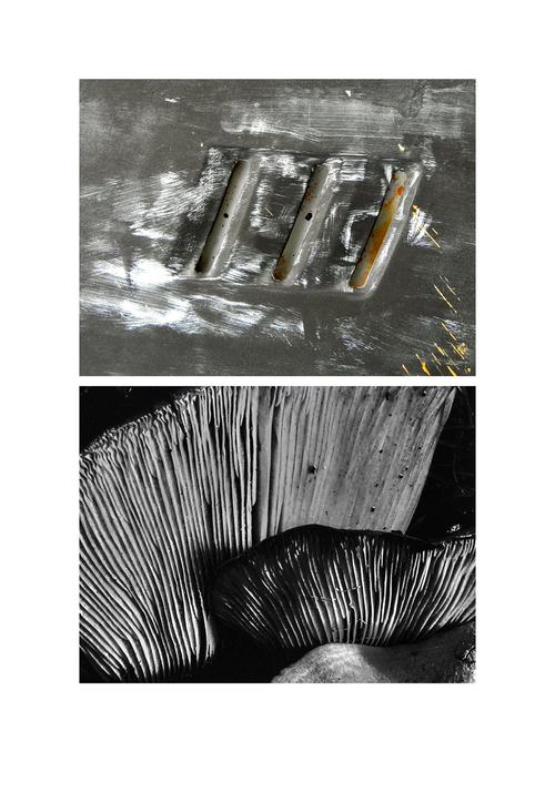 Paint&Nature-Nature&Paint#1, 2023