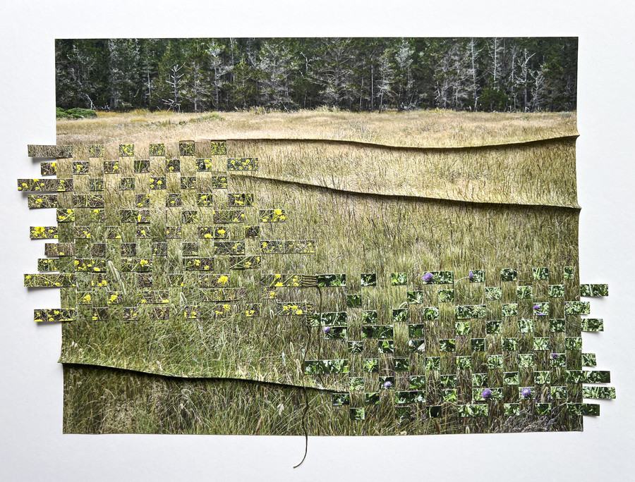 Landscape ReEnvisioned
