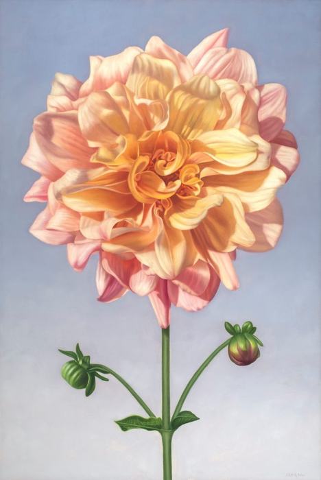 Flora Fauna (Image 1)