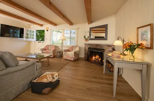Image about The Lodge : King Cottage Suite, Kitchen, Fireplace, Pet-Friendly