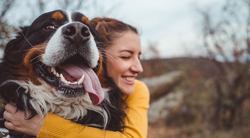 Pet Services