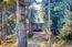 773 Huckleberry Circle - SOLD (Image 21)