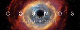 Cosmos - A Spacetime Odyssey