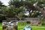 3158 17 Mile Drive - SOLD (Image 43)