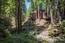 59431 Garrapatos Road - SOLD (Image 18)