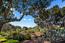 25485 Via Paloma - SOLD (Image 2)