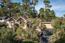 150 Shady Lane - SOLD (Image 1)