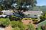 25485 Via Paloma - SOLD (Image 1)