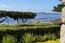 BESIDE THE POINT (Image 1)