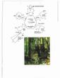 59431 Garrapatos Road - SOLD - Floor Plan