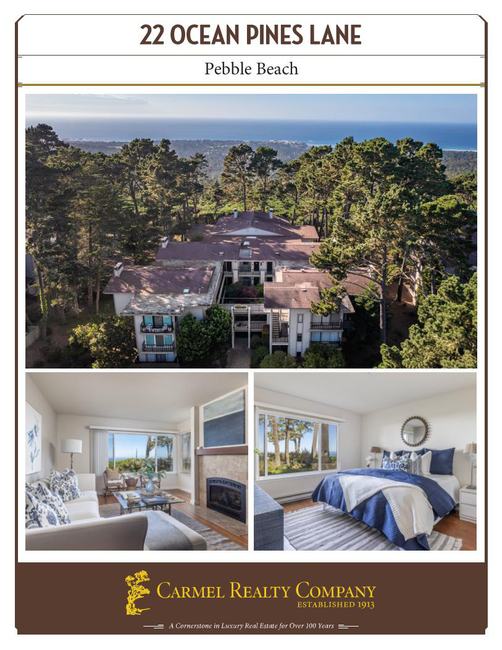 Property Flyer