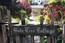 Rented (Image 2)