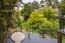 TREETOPS (Image 20)