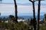 7567 Paseo Vista - SOLD (Image 6)