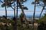 7567 Paseo Vista - SOLD (Image 7)