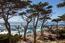 3184 17 Mile Drive - SOLD (Image 37)