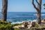 3184 17 Mile Drive - SOLD (Image 49)