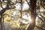 12724 Sundance Lane (Image 48)