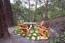 Private, relaxing firepit among the trees (Image 22)