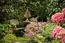 CAMELLIA COTTAGE (Image 16)