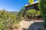 59755 Garrapatos Road (Image 39)