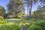 1155 Lookout Road - SOLD (Image 7)