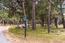 1020 Majella Road - SOLD (Image 2)