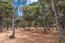 1020 Majella Road - SOLD (Image 4)