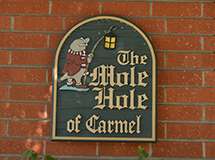 Image about The Mole Hole of Carmel