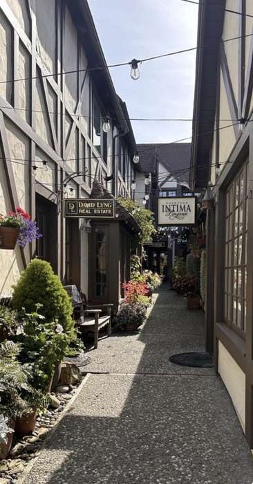 Image about Morgan Court