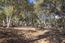 26735 Laureles Grade Road - SOLD (Image 11)