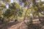 26735 Laureles Grade Road - SOLD (Image 13)