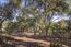 26735 Laureles Grade Road - SOLD (Image 14)